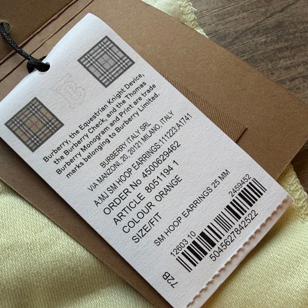 NWT Burberry Small Hoop Orange and Silver Earrings 25mm - Picture 3 of 9